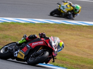 Hlavní obrázek k článku: Bulega na čele armády Ducati