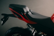 1 Aprilia Tuono 457 (17)