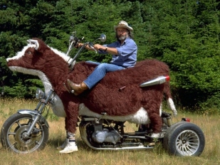 Hlavní obrázek k článku: Cowasaki: limitovaná edice pro americké farmáře