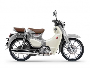Honda Monkey 125, ST125 Dax a Super Cub C125 2026: ve svěžích barvách